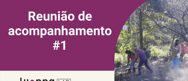 Reunião de Acompanhamento 1