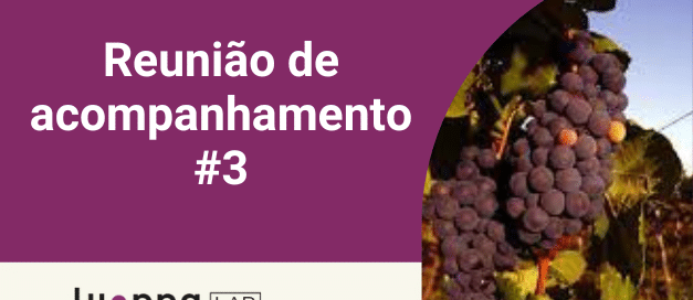 Reunião de Acompanhamento 3