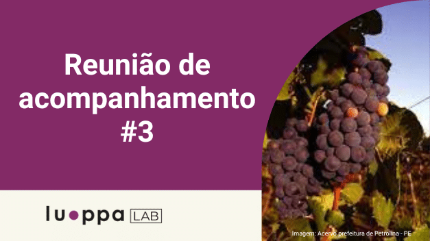 Reunião de Acompanhamento 3