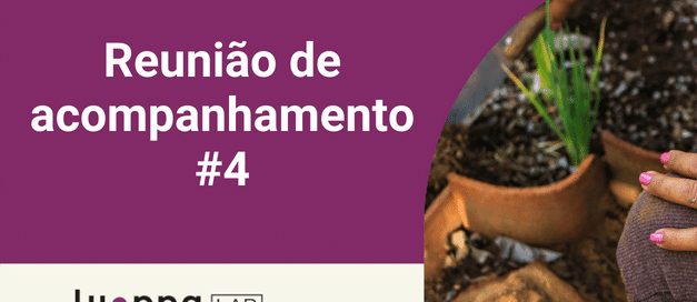 Reunião de Acompanhamento 4