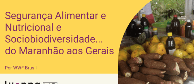 Seminário Segurança Alimentar e nutricional e Sociobiodiversidade… do Maranhão aos Gerais