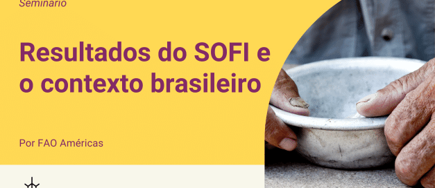 Resultados do SOFI e o contexto brasileiro
