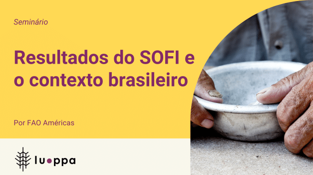 Resultados do SOFI e o contexto brasileiro