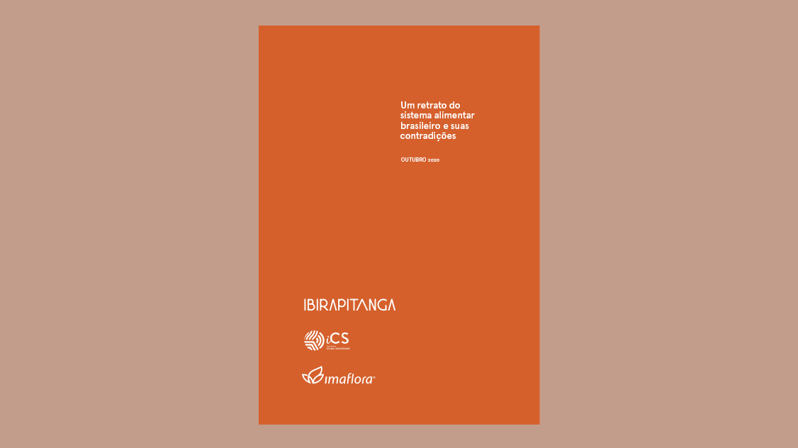 Um retrato do sistema alimentar brasileiro e suas contradições
