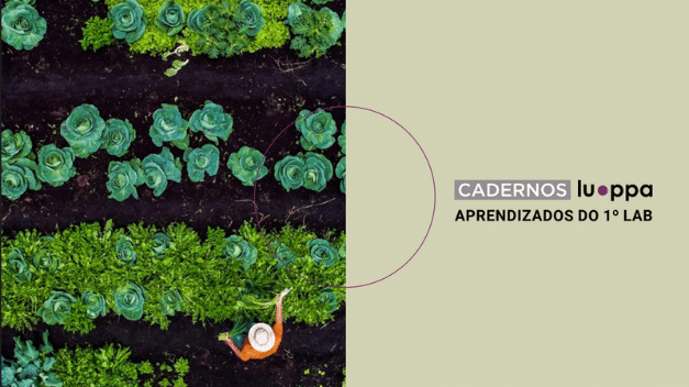 Cadernos Luppa – aprendizados do 1° Lab