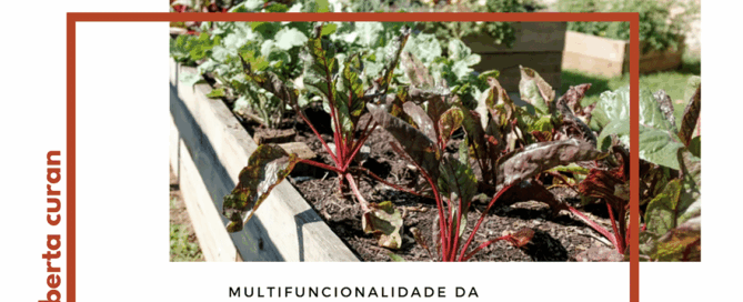 Multifuncionalidade da agricultura urbana e periurbana