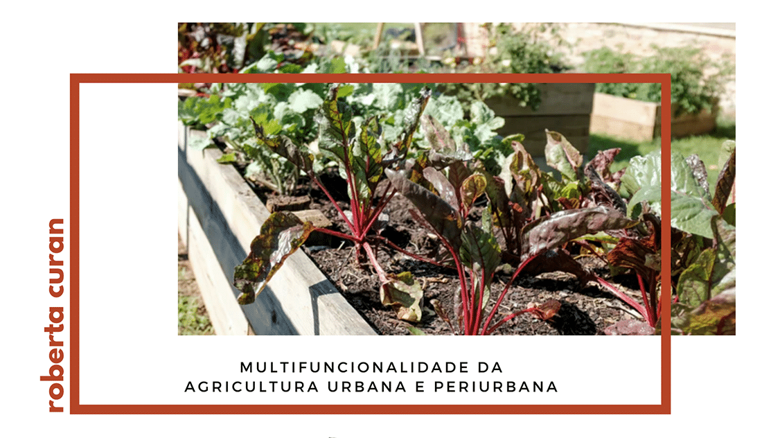 Multifuncionalidade da agricultura urbana e periurbana Multifuncionalidade da agricultura urbana e periurbana
