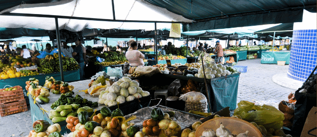 Edital do LUPPA irá apoiar governos locais na construção de políticas públicas para sistemas alimentares urbanos