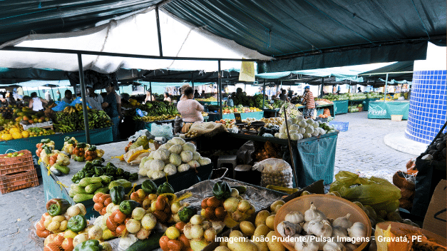 Edital do LUPPA irá apoiar governos locais na construção de políticas públicas para sistemas alimentares urbanos