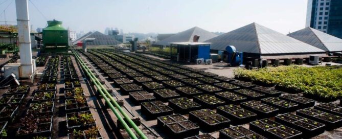 A vez da agricultura urbana