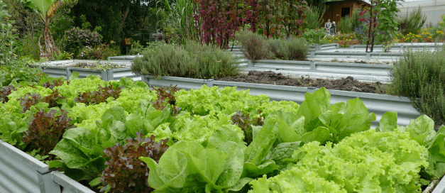 Missão aproxima experiências brasileiras e europeias com sistemas alimentares urbanos