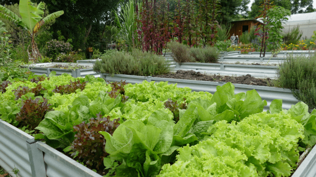 Missão aproxima experiências brasileiras e europeias com sistemas alimentares urbanos